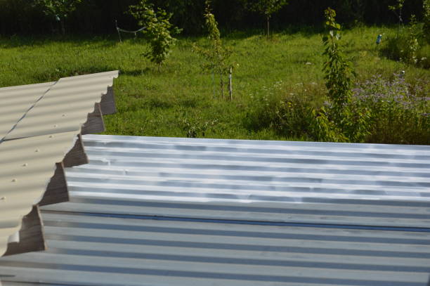 Quels services spécifiques un zingueur à Chaponost peut-il fournir ?