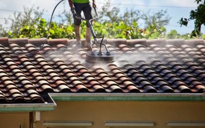 Quels problèmes un nettoyage de toiture peut-il prévenir à Francheville ?
