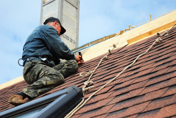 Quels sont les matériaux de zinguerie les plus durables à Francheville ?