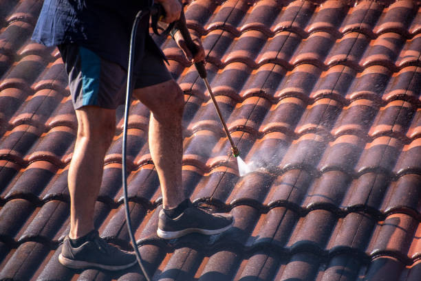 Comment un nettoyage de toiture à la brosse est-il réalisé à Rillieux-la-Pape ?