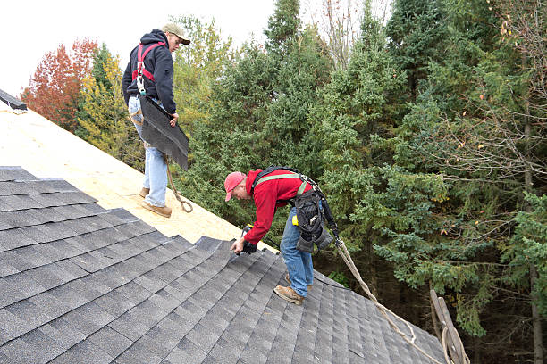 Quels avantages offre l’installation de velux par un couvreur à La Mulatière ?