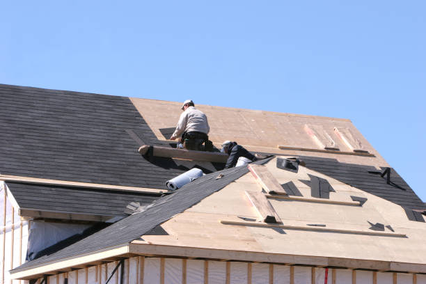 Quels sont les services d’installation de velux proposés par un couvreur à Écully ?